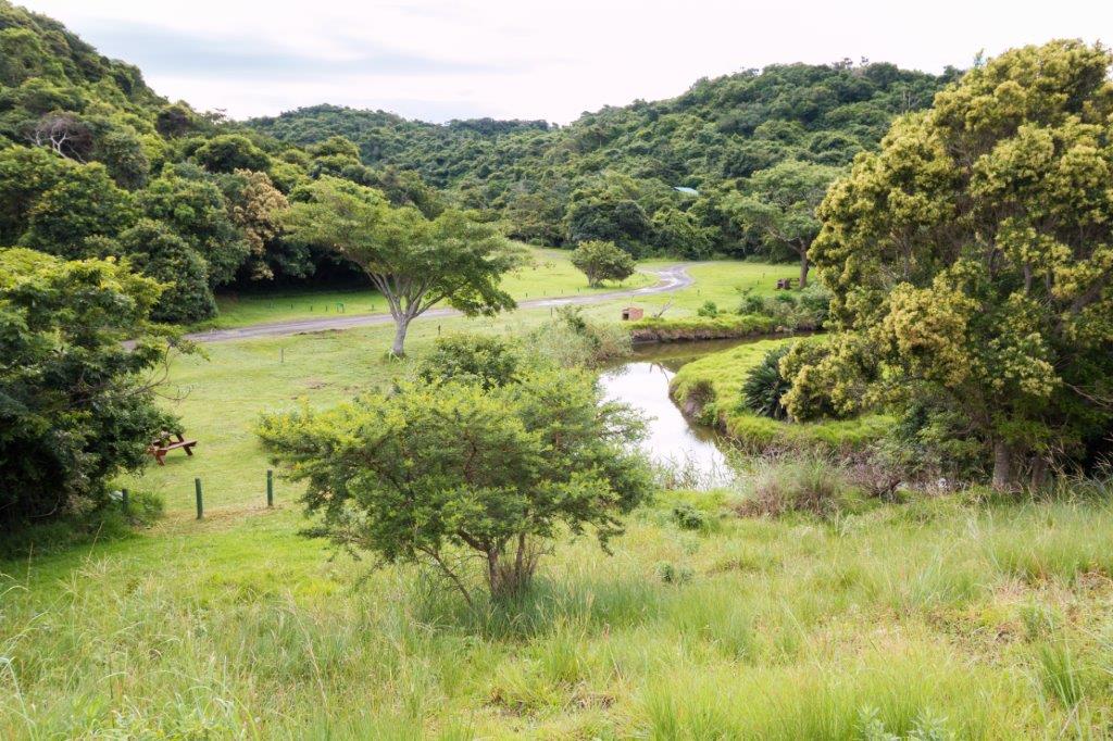 Pristine green landscape and winding river estuary at the remote Dwesa Nature Reserve camping area along the Wild Coast