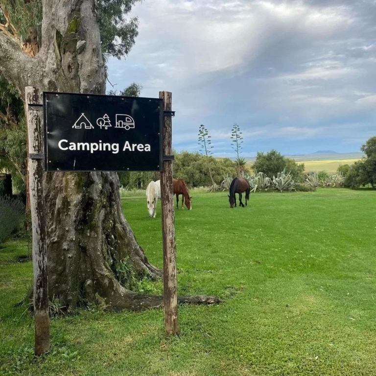 Kasteelkop Guest Farm – Frankfort, Free State