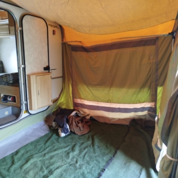 2010 Gypsey Regal