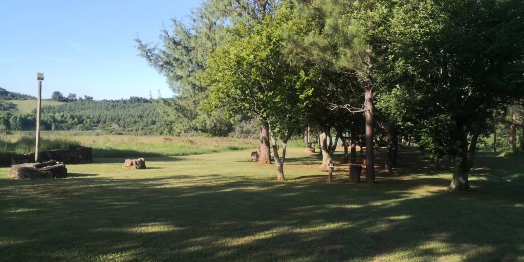 Mac Mac Forest Retreat – Komatiland, Mpumalanga