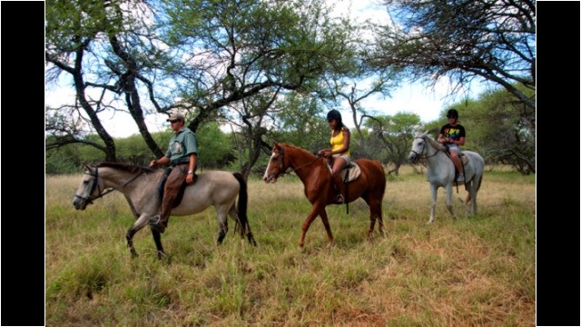 Limpopo, Bela-Bela: Warmbaths, A Forever Resort