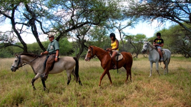 Limpopo, Bela-Bela: Warmbaths, A Forever Resort