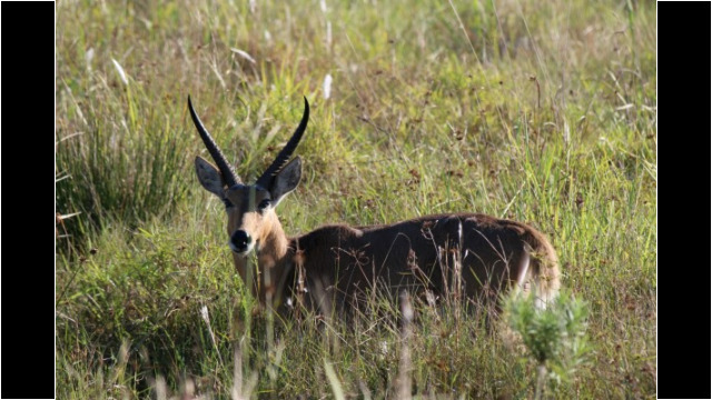 Bahati Caravan Park & Game Farm Bahati Caravan Park & Game Farm
