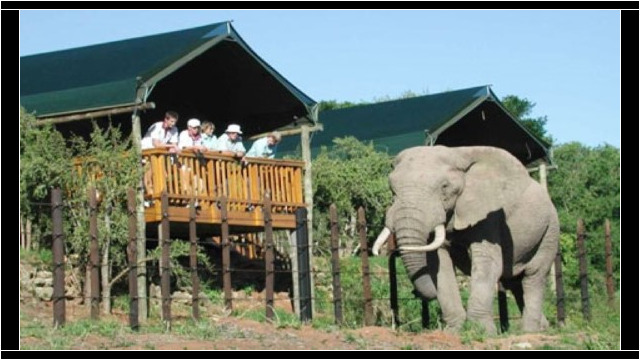 Addo Elephant National Park Addo Elephant National Park